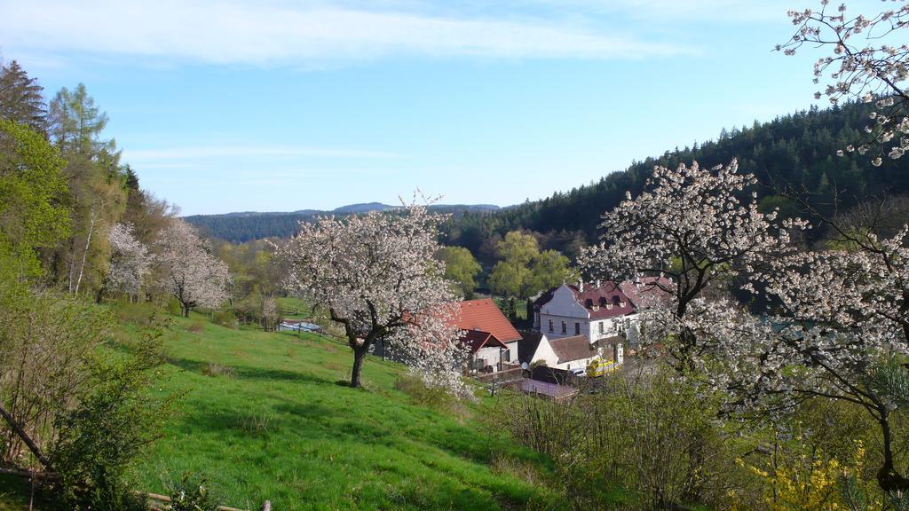Penzion Padrtuv Mlyn Trebic Bagian luar foto