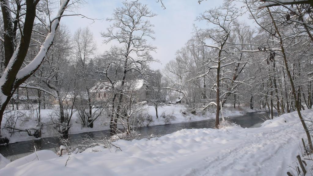 Penzion Padrtuv Mlyn Trebic Bagian luar foto